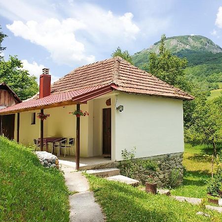 Farmstead Green Haven Mojkovac Zewnętrze zdjęcie