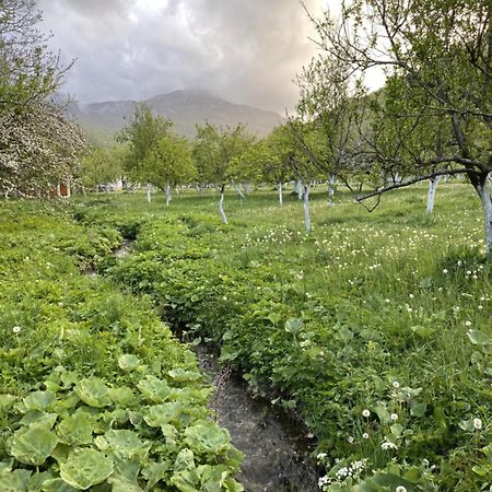 Farmstead Green Haven Mojkovac Zewnętrze zdjęcie