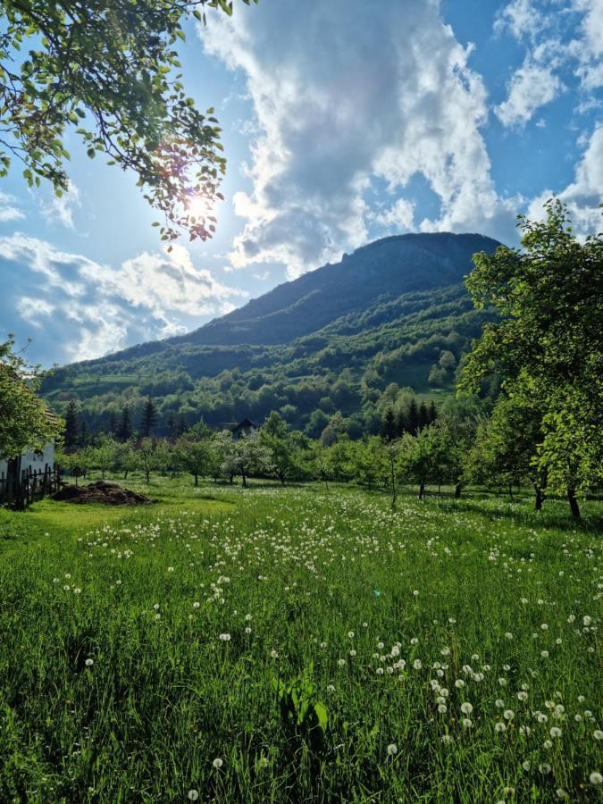 Farmstead Green Haven Mojkovac Zewnętrze zdjęcie