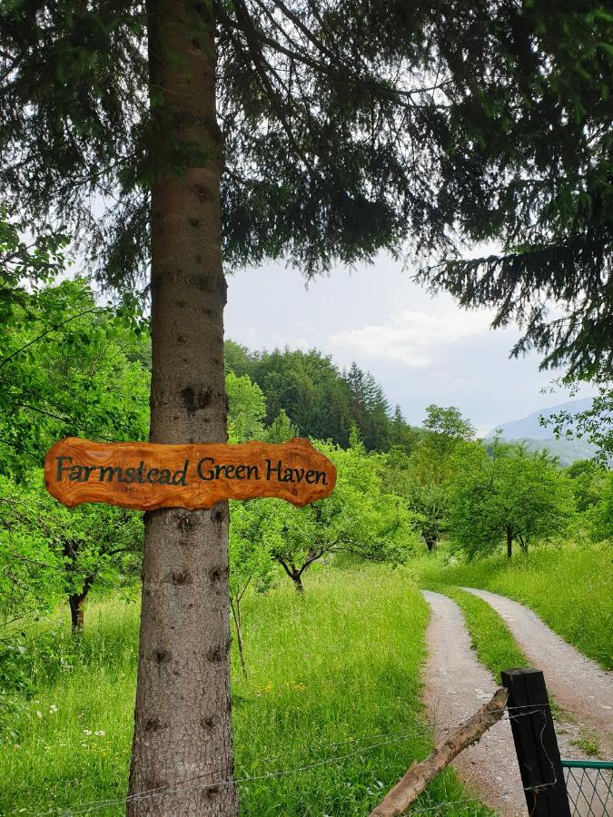 Farmstead Green Haven Mojkovac Zewnętrze zdjęcie
