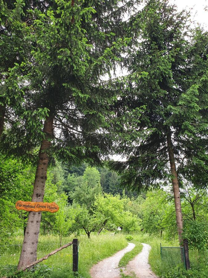 Farmstead Green Haven Mojkovac Zewnętrze zdjęcie