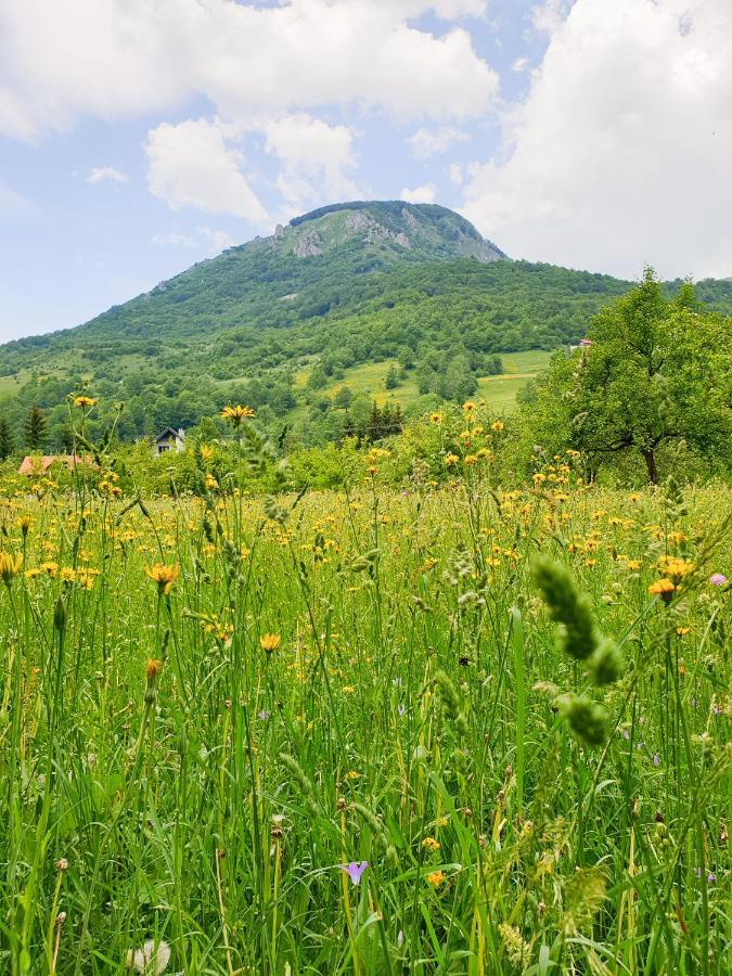 Farmstead Green Haven Mojkovac Zewnętrze zdjęcie