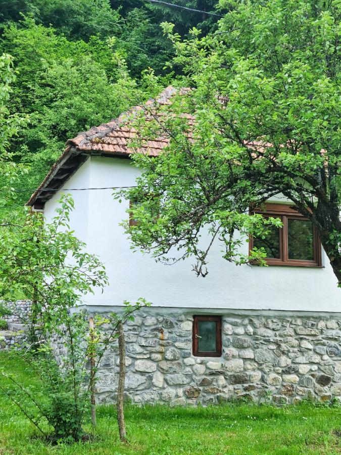 Farmstead Green Haven Mojkovac Zewnętrze zdjęcie
