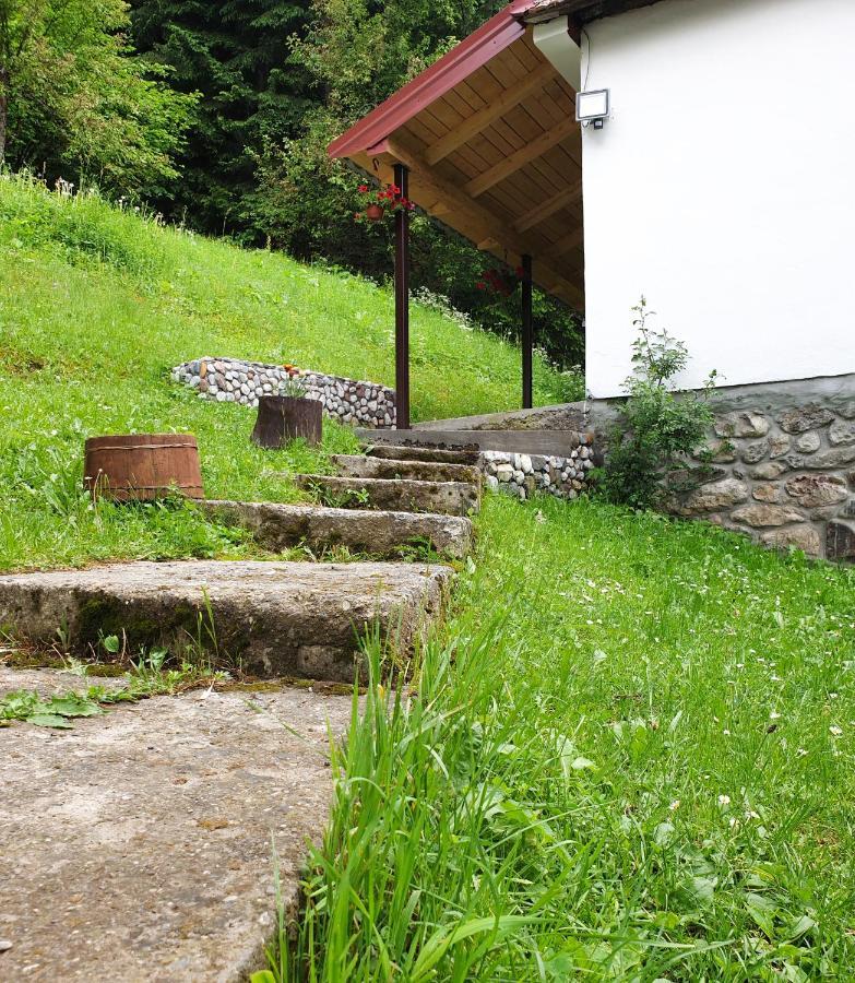 Farmstead Green Haven Mojkovac Zewnętrze zdjęcie