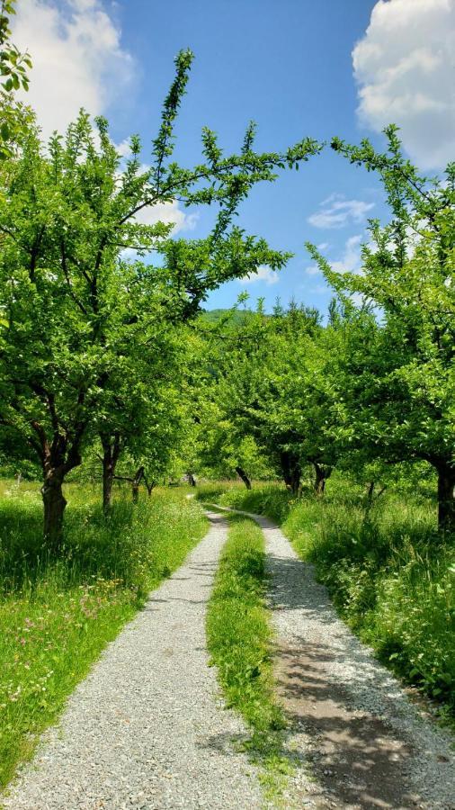 Farmstead Green Haven Mojkovac Zewnętrze zdjęcie