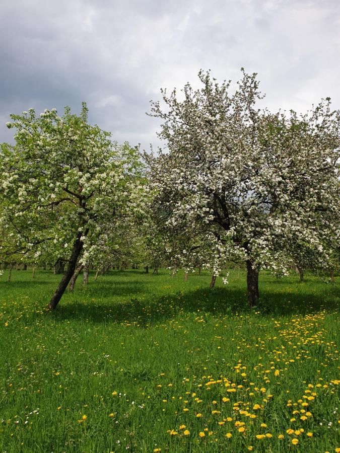 Farmstead Green Haven Mojkovac Zewnętrze zdjęcie