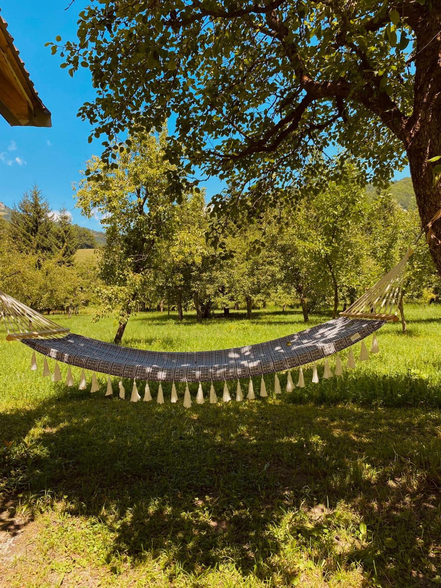 Farmstead Green Haven Mojkovac Zewnętrze zdjęcie