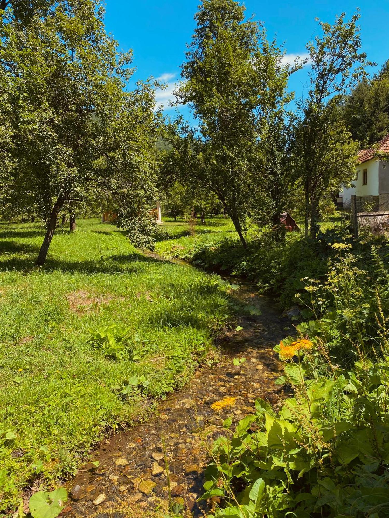 Farmstead Green Haven Mojkovac Zewnętrze zdjęcie