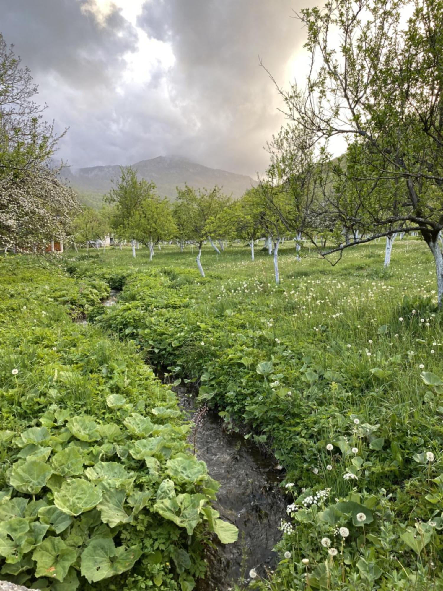 Farmstead Green Haven Mojkovac Zewnętrze zdjęcie
